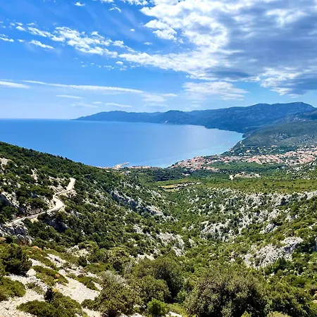 Blue Iun T1261 * Кала-Гононе